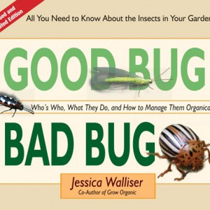Good Bug Bad Bug by Jessica Walliser
