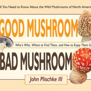 Good Mushroom Bad Mushroom by John Plischke