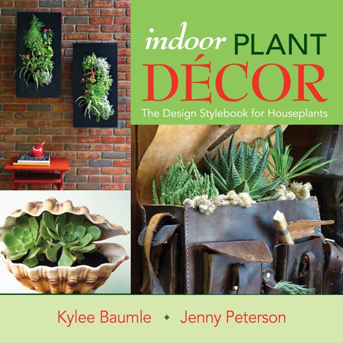 Indoor Plant Decor by Kylee Baumle & Jenny Peterson