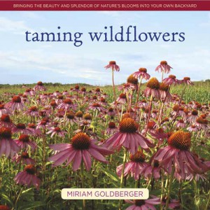 Taming Wildflowers by Miriam Goldberger