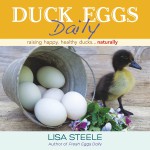 ST LYNN'S PRESS - Duck Eggs Daily Cvr small
